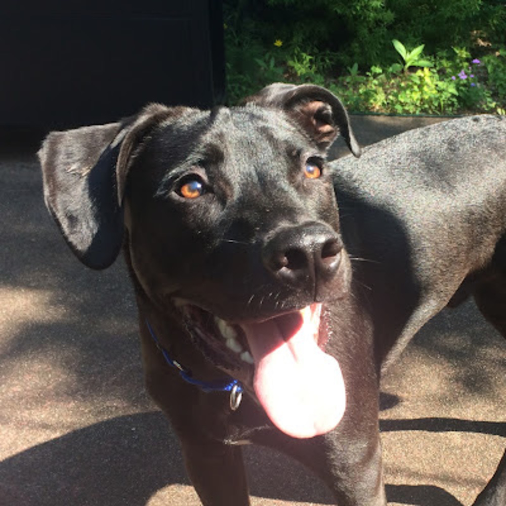 Meet your Posher, Jenny